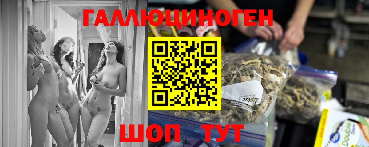 Кувандык  Галлюциногенные грибы Psilocybine cubensis  Вход с VPN 
