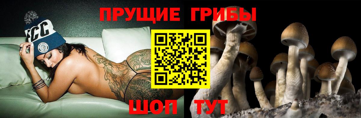 Кувандык  APVP СК кристаллы  Вейп ТГК  Меф кристаллы  Cocaine  ГАШИШ  Метадон  МЕФ  Вход с VPN  Конопля 